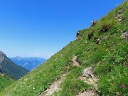 PASSO-LAGO-RIF. BRANCHINO con ANTICIMA sud Corno Branchino (1917 m)-23giu25- FOTOGALLERY